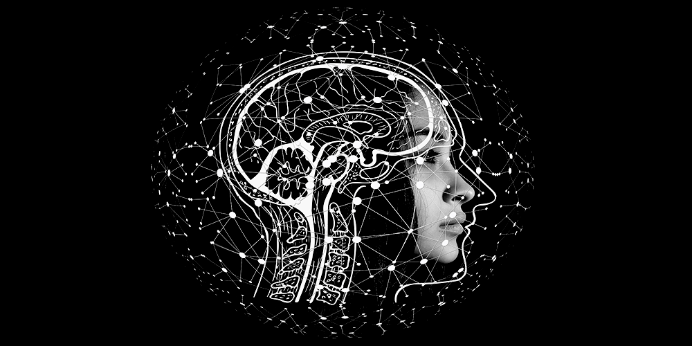 tuitpro-intelligent-coding-for-a-smarter-tomorrow